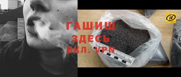 стаф Корсаков